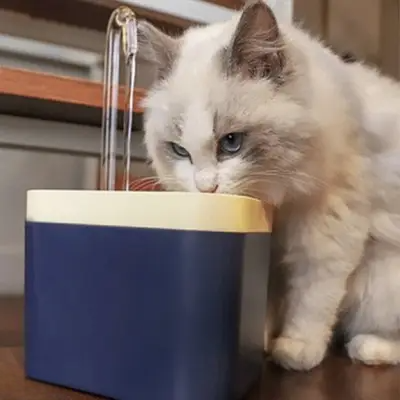 Fontaine A Eau Chat - Ultra-QuietCatWaterFountain™ - Bleu marine