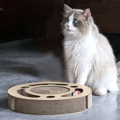 Grattoir Chat - PurrRoundScratcher™ - Minimaliste - Famille Royal Chat