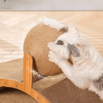 Griffoir pour Chat - Scratch&PlayCatBoard™ - Arc - Famille Royal Chat